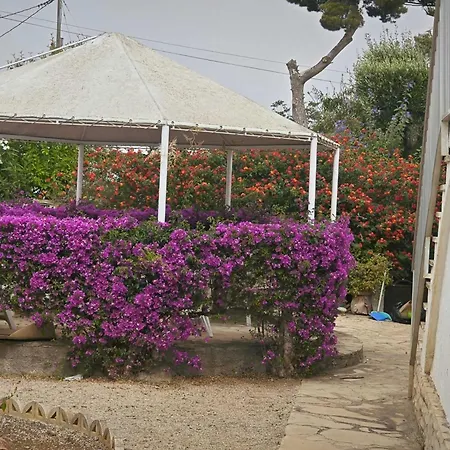 Casa Geminis Vinaros Apartment Exterior photo