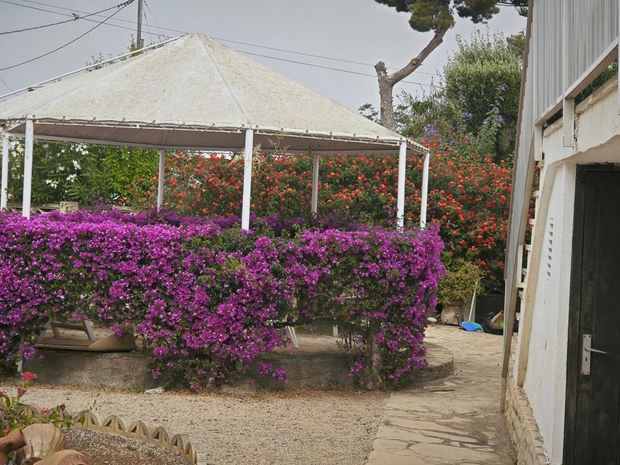Apartment Casa Geminis *